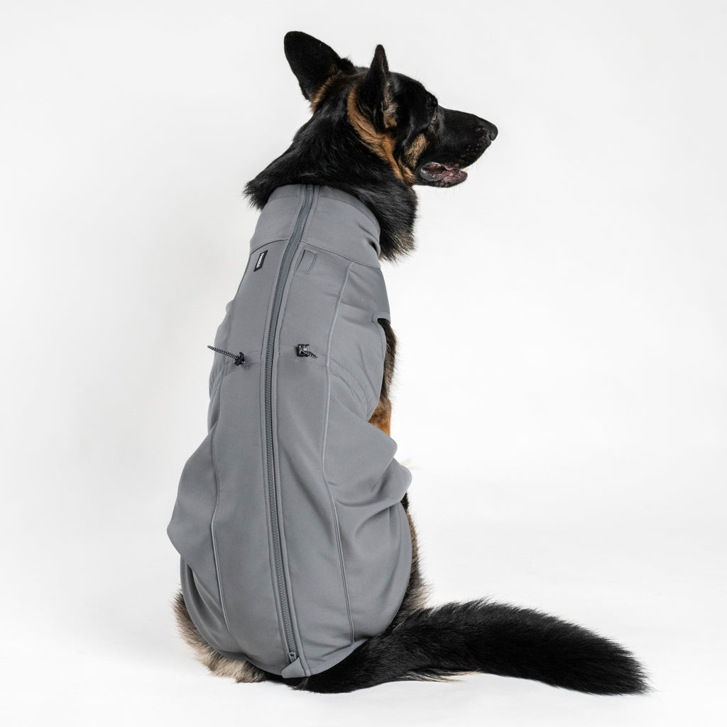 FINNERO SPORT Softshell- takki koiralle