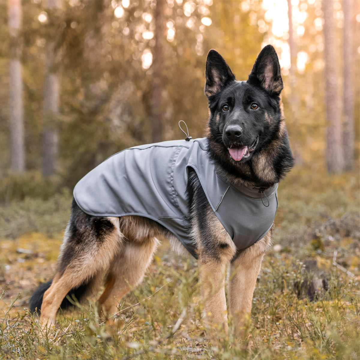 FINNERO SPORT Softshell- takki koiralle